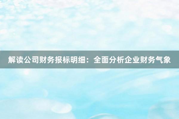 解读公司财务报标明细：全面分析企业财务气象