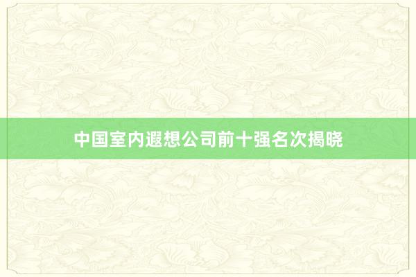 中国室内遐想公司前十强名次揭晓