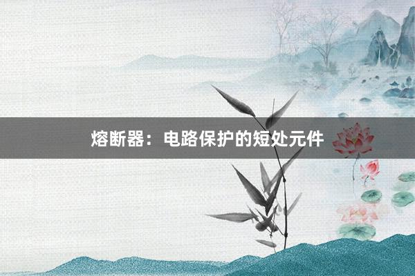 熔断器：电路保护的短处元件