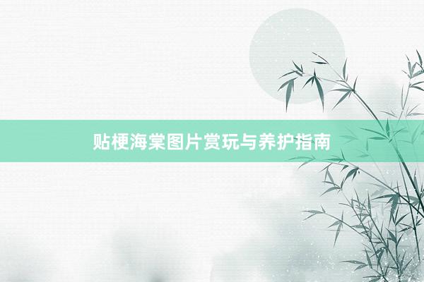 贴梗海棠图片赏玩与养护指南