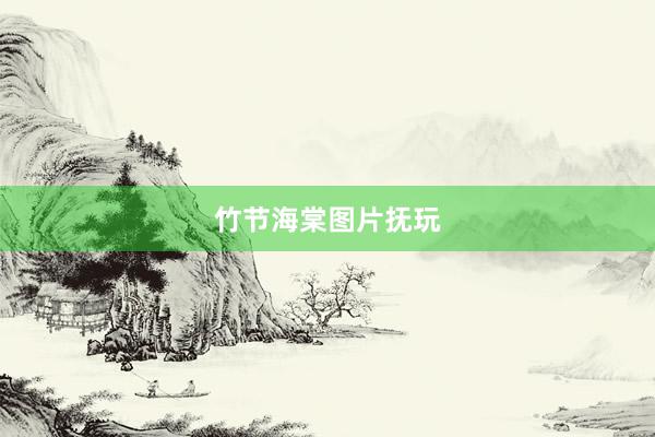 竹节海棠图片抚玩