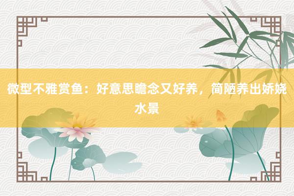微型不雅赏鱼：好意思瞻念又好养，简陋养出娇娆水景